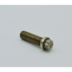 Tornillo Mercury/Quicksilver (10-8M0113174)