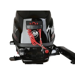 Motor fueraborda F3.5 MH / eje corto / arranque manual